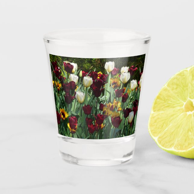 Maroon und Gelbe Tulips farbenfrohe Blumen Schnapsglas (Vorderseite)
