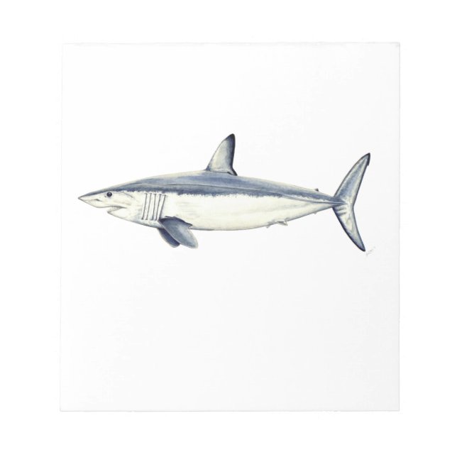 Marrajo - Isurus oxyrinchus Notizblock (Vorderseite)