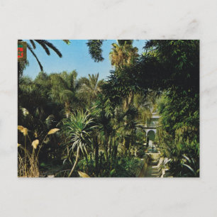 Marrakesh, Majorelle gardens, Morocco Postkarte
