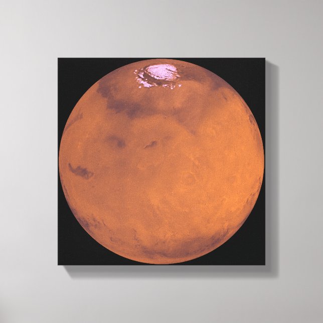 MARS 5 LEINWANDDRUCK (Vorderseite)