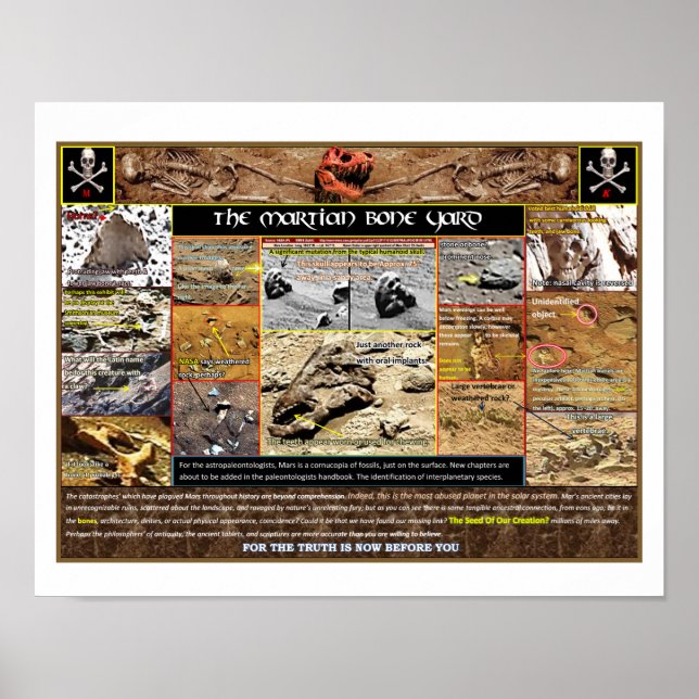 Mar's Boneyard Poster (Vorne)