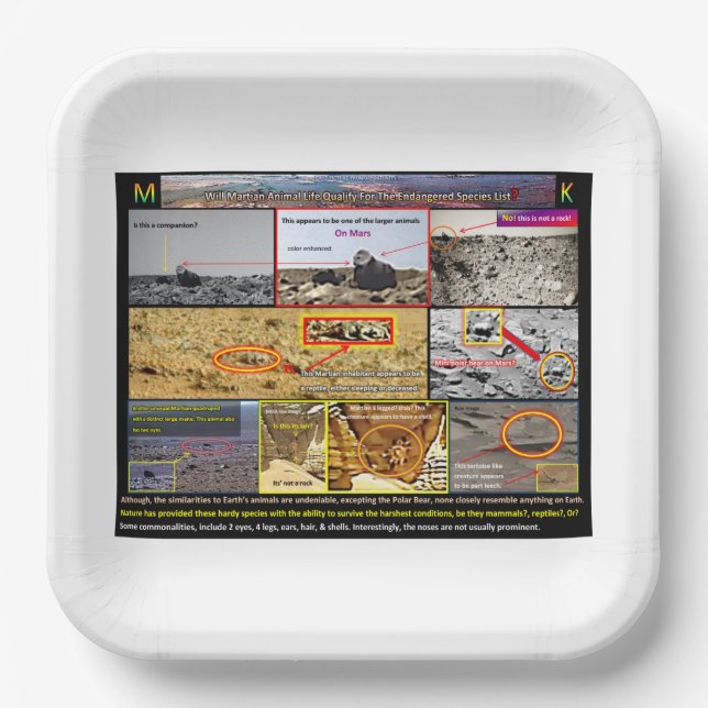 Mars Pappteller (Vorderseite)