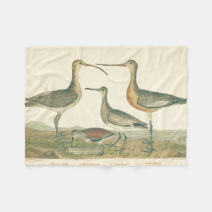 Marsh Bird Curlew Snipe Vogelbeobachtung Fleecedecke