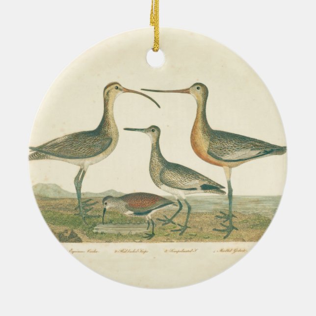 Marsh Bird Curlew Snipe Vogelbeobachtung Keramik Ornament (Hinten)