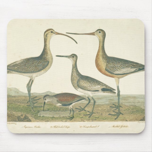 Marsh Bird Curlew Snipe Vogelbeobachtung Mousepad (Vorne)