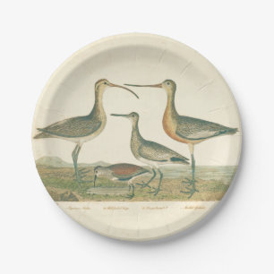 Marsh Bird Curlew Snipe Vogelbeobachtung Pappteller