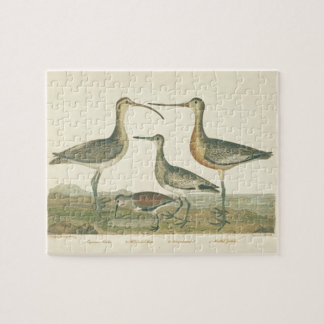 Marsh Bird Curlew Snipe Vogelbeobachtung Puzzle (Horizontal)