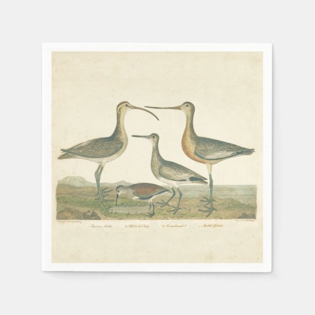 Marsh Bird Curlew Snipe Vogelbeobachtung Serviette (Vorderseite)
