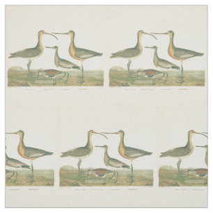Marsh Bird Curlew Snipe Vogelbeobachtung Stoff