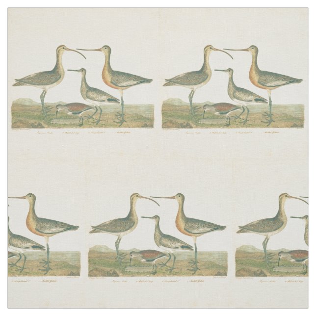 Marsh Bird Curlew Snipe Vogelbeobachtung Stoff (Muster)