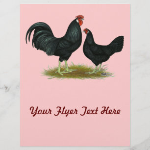 Marsh Daisy Chickens Flyer