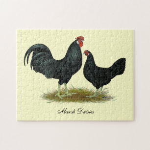 Marsh Daisy Chickens Puzzle