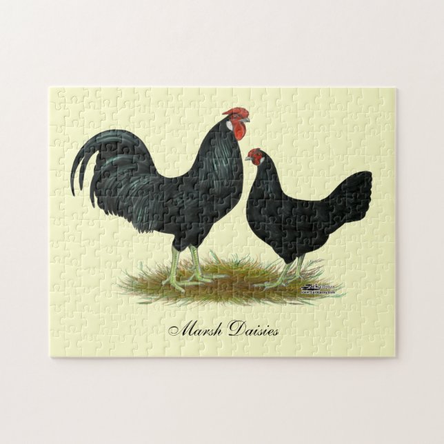 Marsh Daisy Chickens Puzzle (Horizontal)