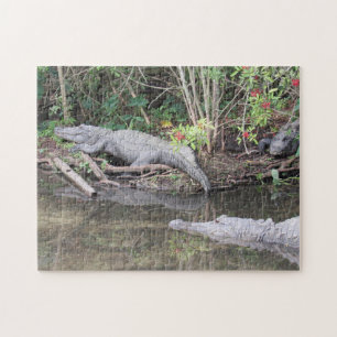 Marsh Gators - American Alligator Jigsaw Puzzle