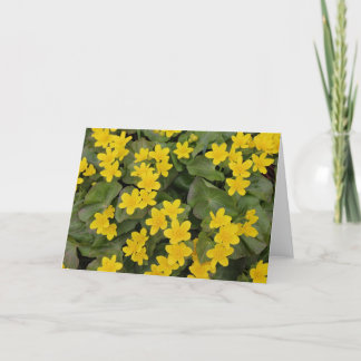 Marsh Marigold in Bloom Karte