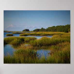 Marsh Poster