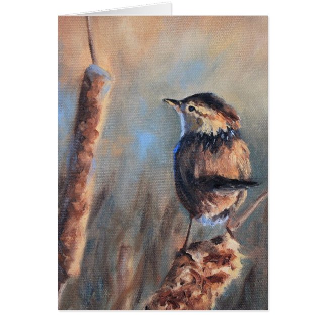 Marsh Wren Fine Art Grußkarte (Vorne)