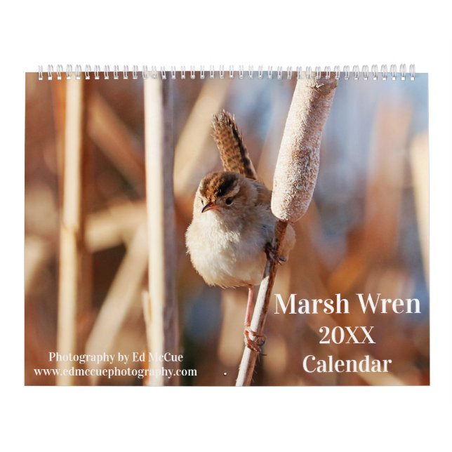 Marsh Wren Kalender (Titelbild)