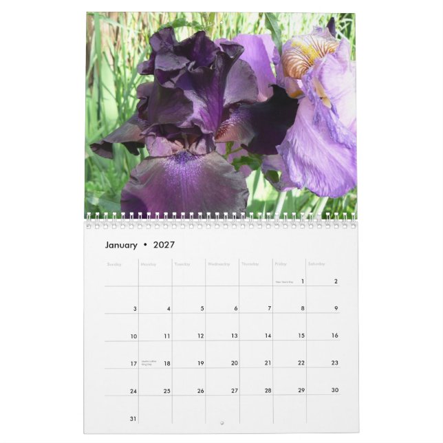 Marshas fantastische Iris Cale 2008… Kalender (Jan 2027)