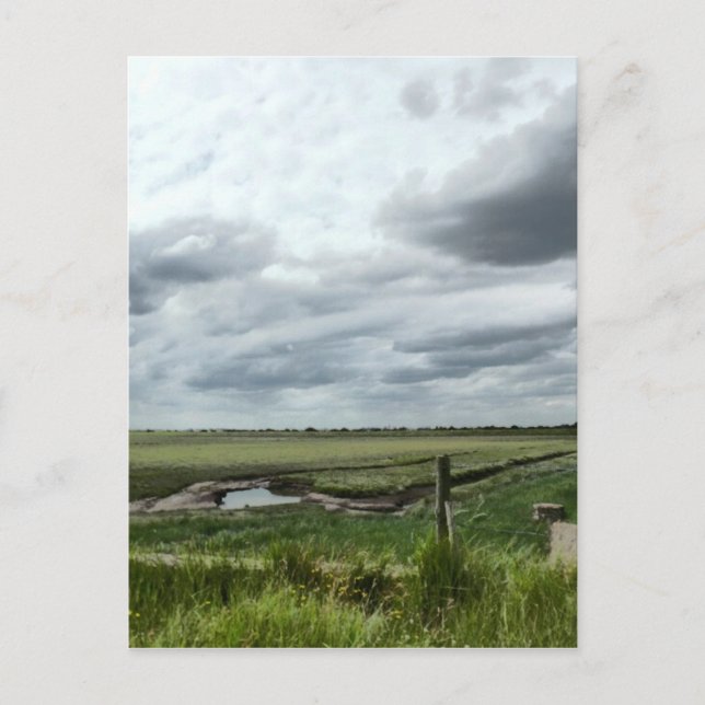 Marshes Postkarte (Vorderseite)