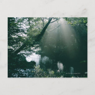 Marshland 3 postkarte