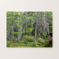Marshland Florida, USA