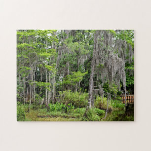 Marshland Florida, USA Puzzle