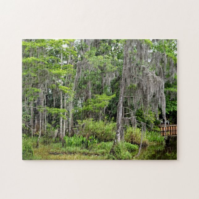 Marshland Florida, USA Puzzle (Horizontal)