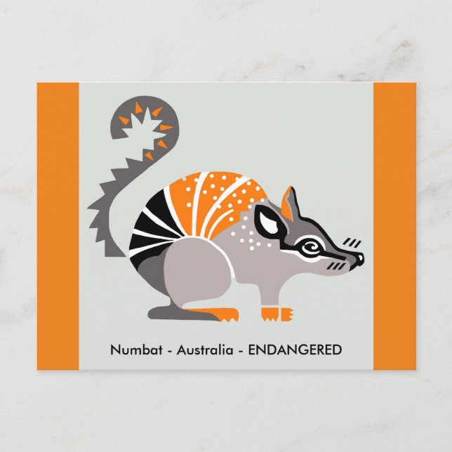 Marsupial - NUMBAT- Natur - Wildtiere - Postkarte (Vorderseite)