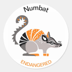 Marsupial - NUMBAT - Wildlife - Australien Runder Aufkleber