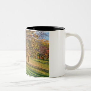 Marthaler Park Autumn Trees on Hilltop Zweifarbige Tasse