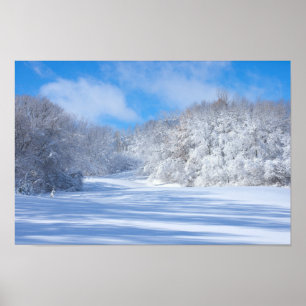 Marthaler Park Snowy Hills Poster
