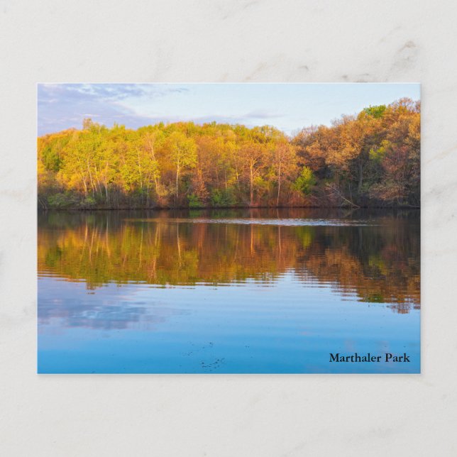 Marthaler-Park-Teich und Waldland Postkarte (Vorderseite)