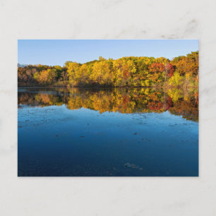 Marthaler Park Wälder und Reflexionen Herbst Postkarte
