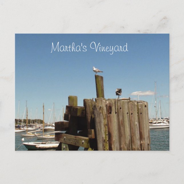 Martha's Vineyard Postcard Postkarte (Vorderseite)