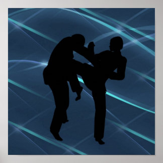Martial Arts Posters Poster