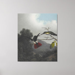 MARTIN J. HEADE - Mango (schwarzer Kehlkopf) - 186 Leinwanddruck