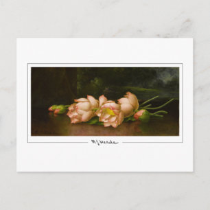 Martin Johnson Heade #34 - Fine Art Postcard Postkarte