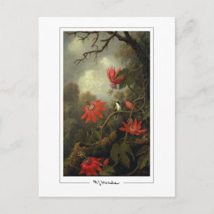 Martin Johnson Heade #36 - Kunstpostkarte Postkarte
