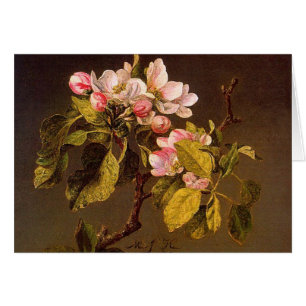 Martin Johnson Heade - Apple-Blüten