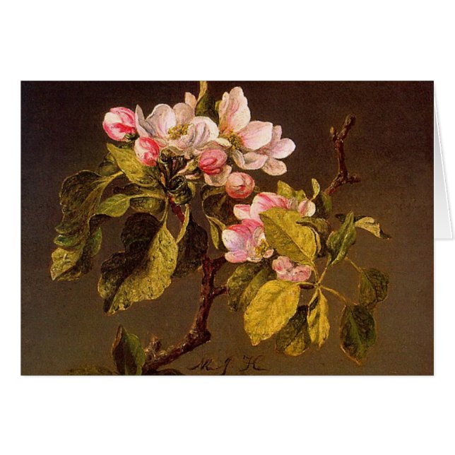 Martin Johnson Heade - Apple-Blüten (Vorderseite (Horizontal))