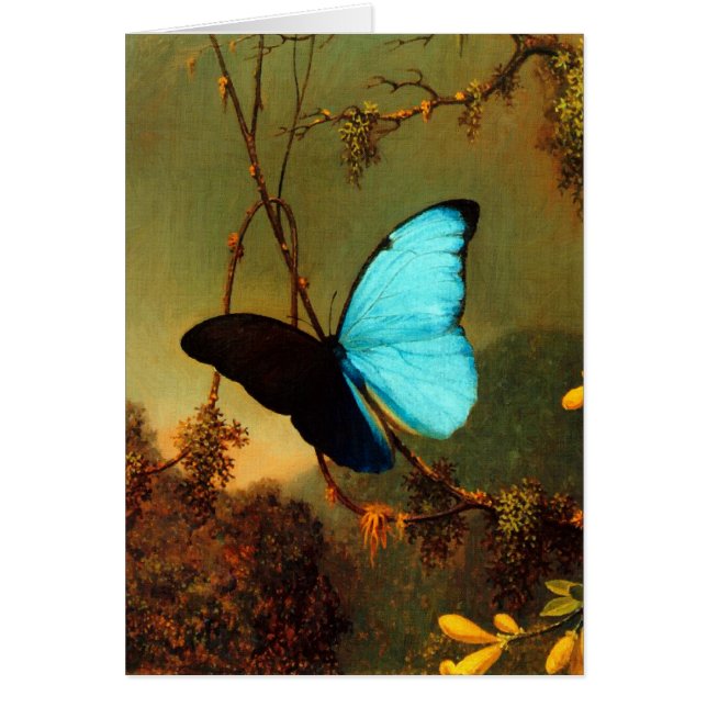 Martin Johnson Heade Blue Morpho Butterfly (Vorne)