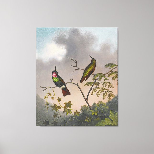 MARTIN JOHNSON HEADE - Brasilianische Ruby - c. 18 Leinwanddruck (Vorderseite)
