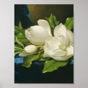 Martin Johnson Heade - Giant Magnolias Poster