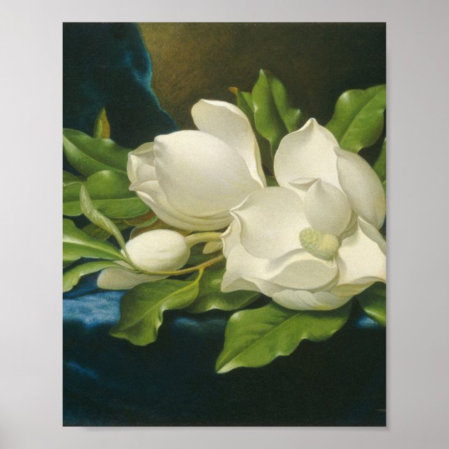 Martin Johnson Heade - Giant Magnolias Poster (Vorne)