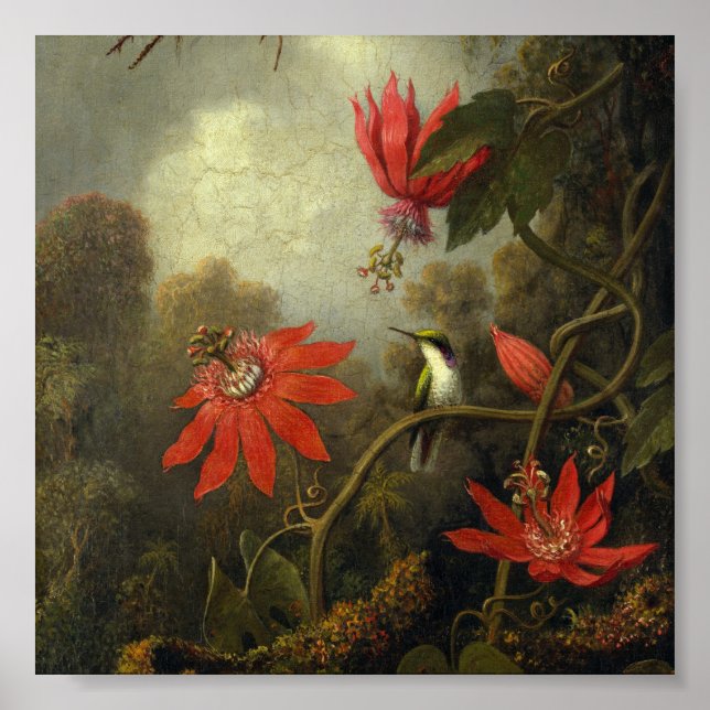 Martin Johnson Heade - Hummingbird und Passion Poster (Vorne)