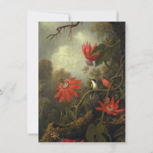 Martin Johnson Heade - Kolibri Dankeskarte