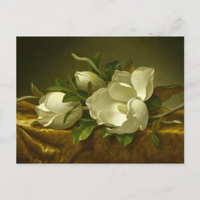 Martin Johnson Heade - Magnolias auf Gold Velvet Postkarte (Vorderseite)