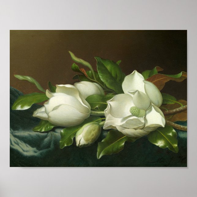 Martin Johnson Heade - Magnolias on Light Blue Poster (Vorne)