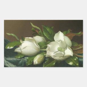 Martin Johnson Heade - Magnolias on Light Blue Rechteckiger Aufkleber